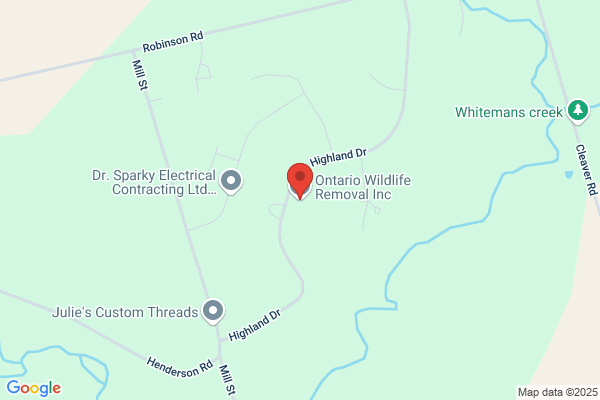 Ontario Wildlife Removal Inc.