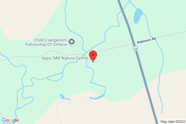 Camp Chiefswood