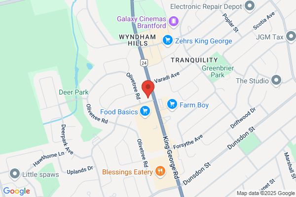 Brantford Veterinary