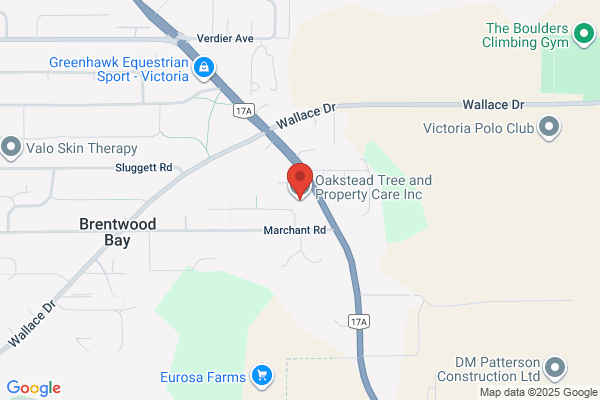 Oakstead Tree & Property Care Inc