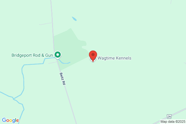 Wagtime Kennels