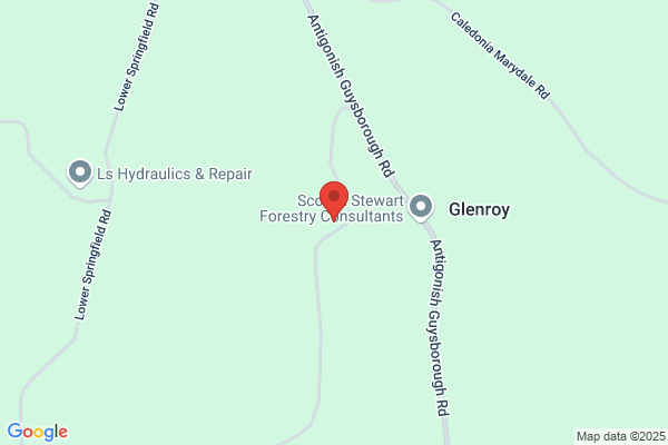 Lord's Forestry Enterprises Ltd Nova Balsam Christma