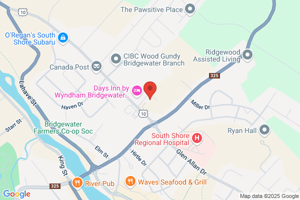 docbraces Hatheway Bridgewater
