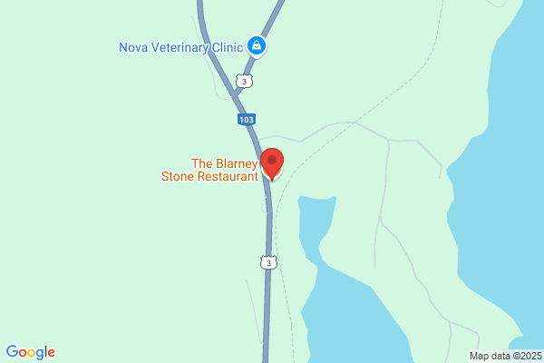 Blarney Stone Restaurant Ltd