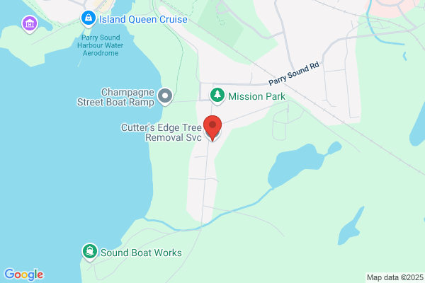 Cutter's Edge Tree Removal Service
