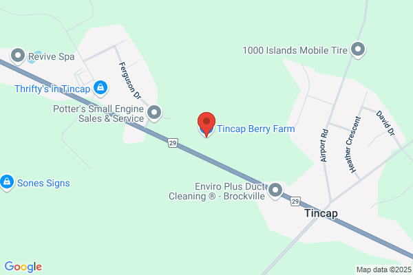 Tincap Berry Farm