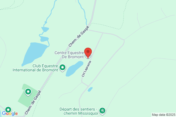 Fondation De Therapie Equestre Les Nouveaux Ecuyers