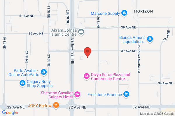 Diamond Adatia Chartered Professional Accountant Calgary