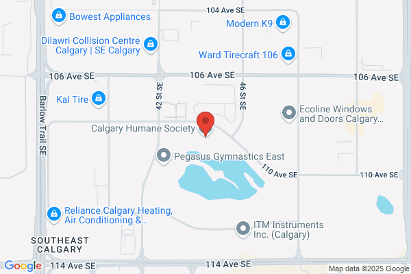 Calgary Humane Society