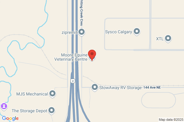 Moore & Company Veterinary Services