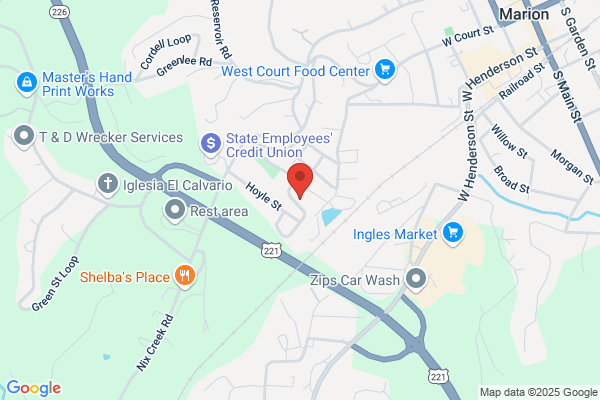 Mountain View Auction Services