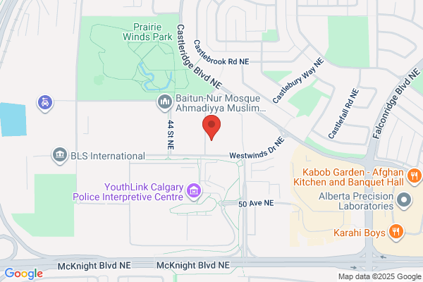 Driving Schools Calgary - Punjab Driving School