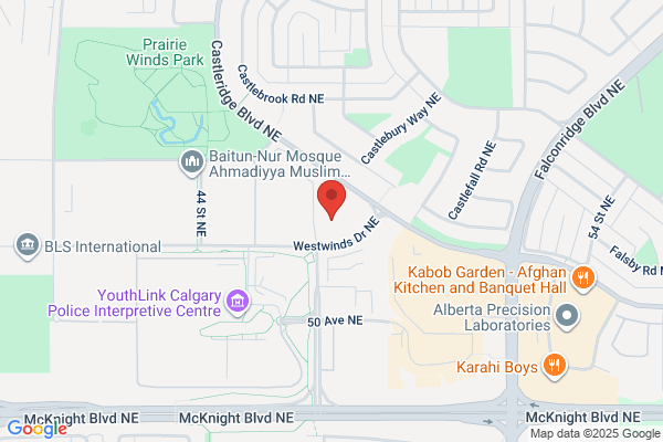 Canadian Professional Driving School
