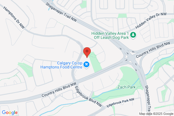 Hamptons Dental