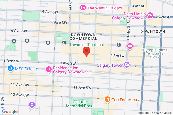Discovery Solutions International Inc