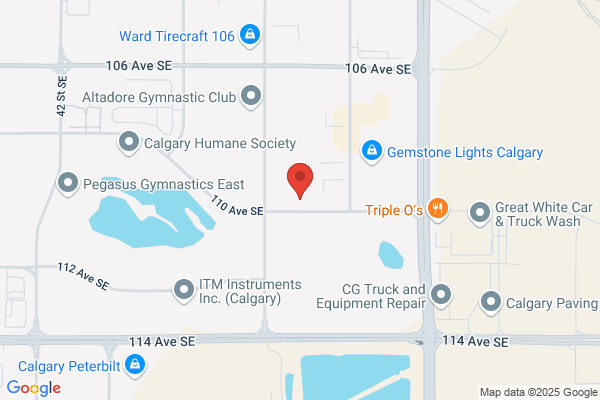 Dog Star Systems Inc