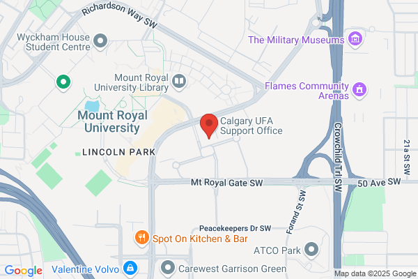 Internet Centre Inc
