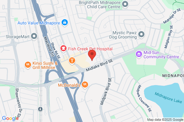 Midnapore Dental Wellness