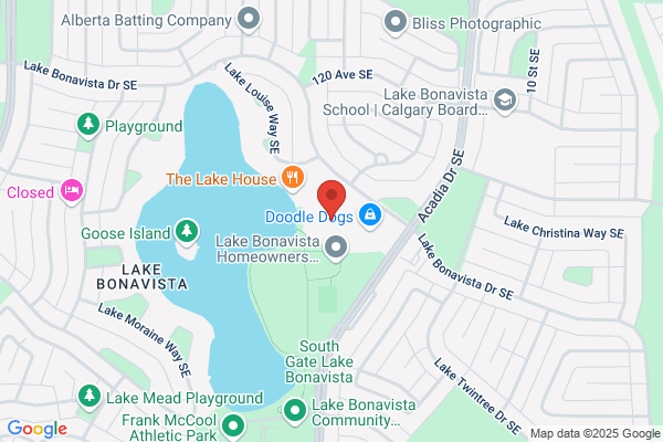 Bonavista Cleaners, Postal Services
