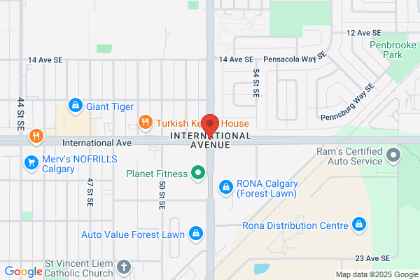 Canadian Vista International