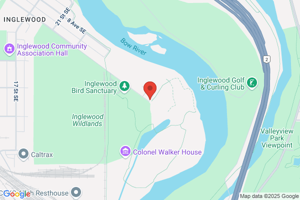 National Forest Products Ltd