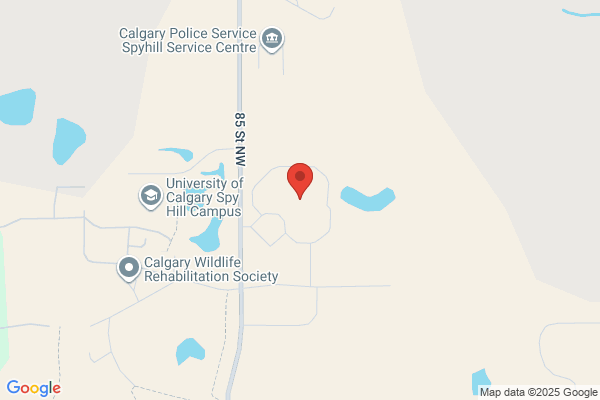 Arrest Inquiries-Persons In Custody, Calgary Correctional Centre
