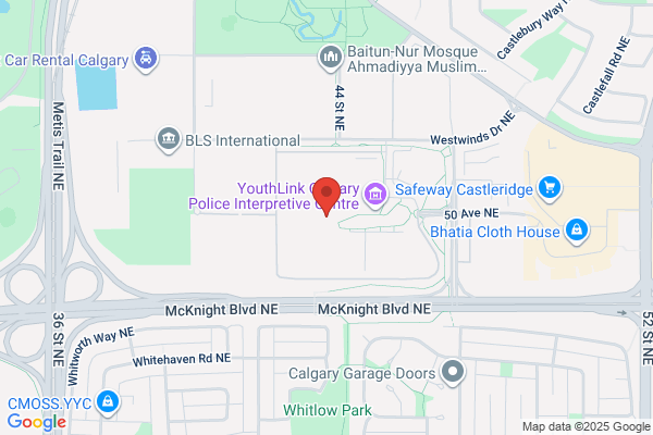 Calgary Police Specialty Areas, Major Crimes Section, Domestic Conflict Unit