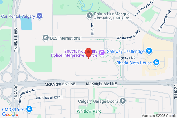 Calgary Police Specialty Areas, Organized Crime Control Section, Commercial Crime