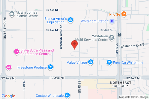 Calgary Alarm Systems Inc
