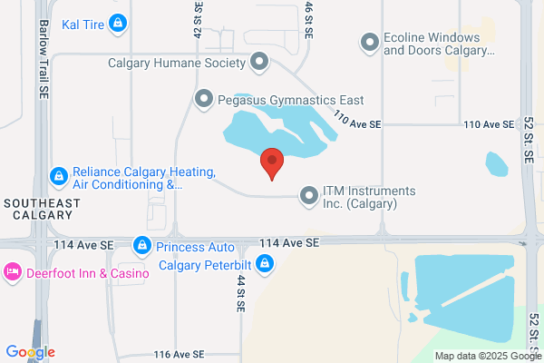Zzang Internet Service