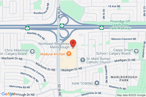 Registries Plus Inc