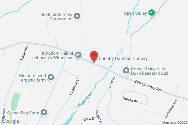 Country Gardens & Nursery, Spring Bank