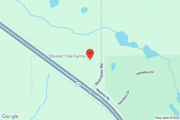 Stewart Tree Farms