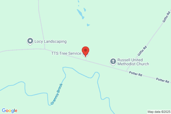 T T S Tree Service Ltd