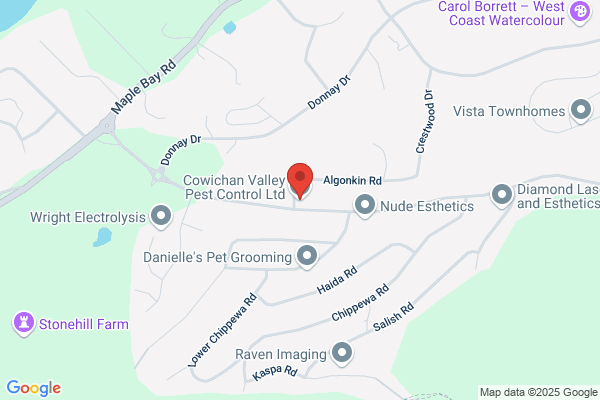 Bow Valley Pest Control