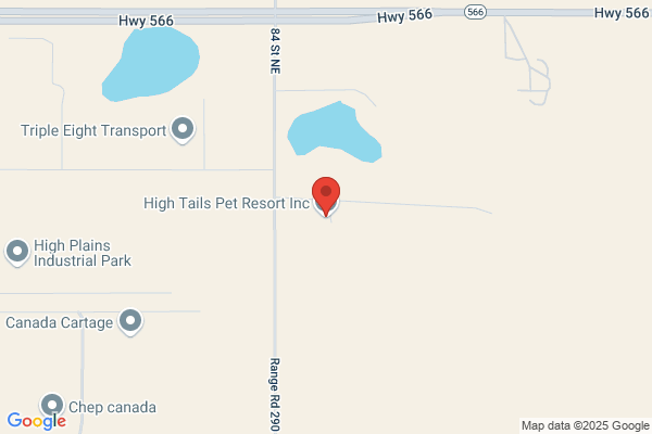 High Tails Pet Resort