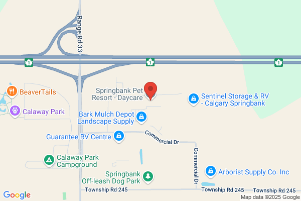 Springbank Pet Resort