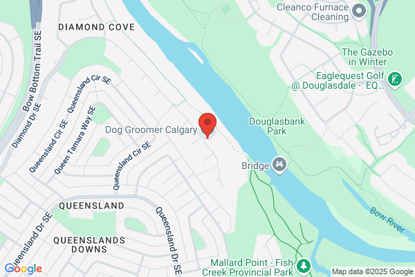 Dog Groomer Calgary