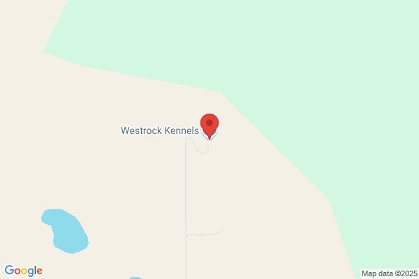 Rocky Glen Kennels