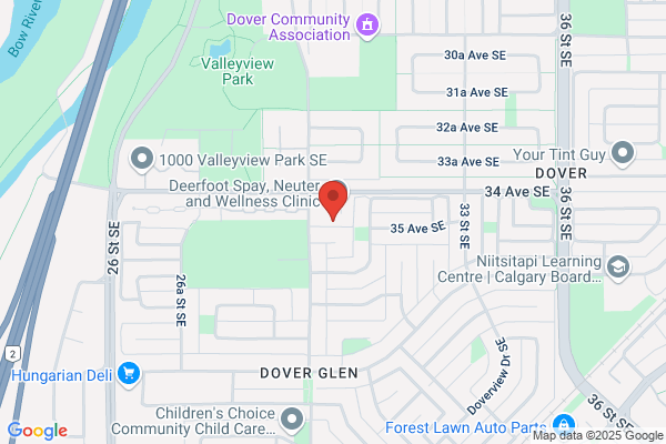 Chinook Physical Therapy & Wellness Clinic Inc
