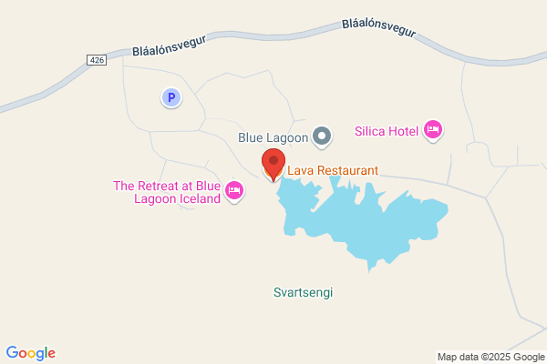 Blue Lagoon Restaurant Ltd