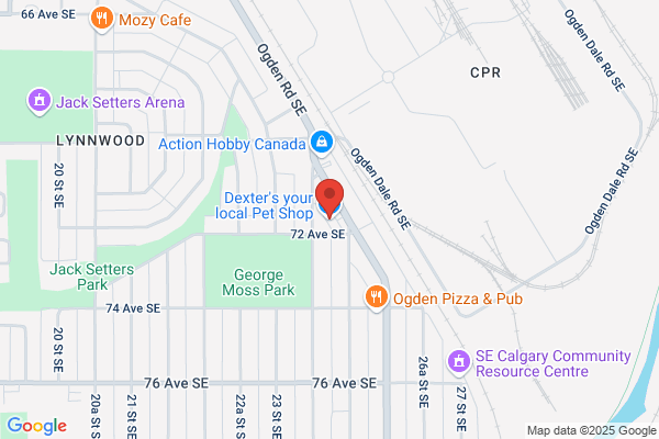 Hector's Collar & Harness Shop