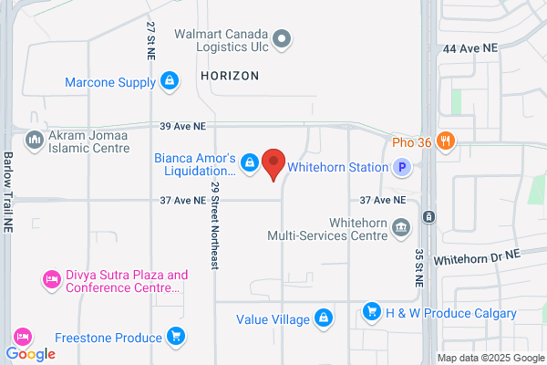 Western Gauge & Instruments Ltd