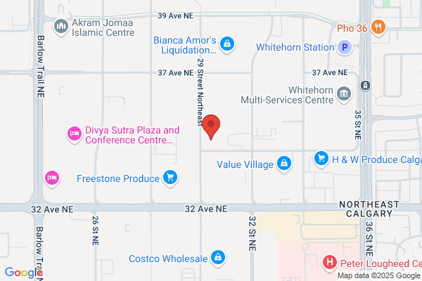 Stealth Alarm Systems Inc