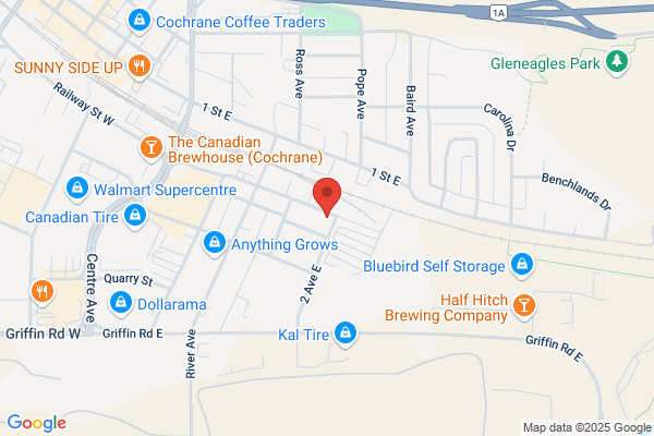 Western Canadian Surveillance Services Ltd