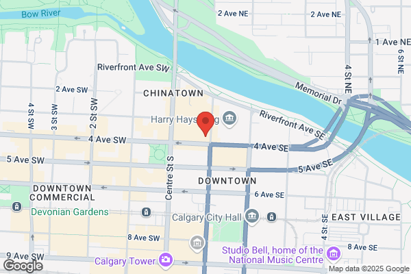 Calgary Immigrant Women's Association, Volunteer Program