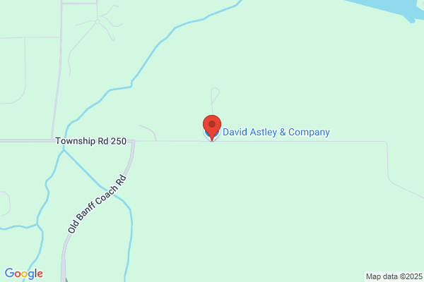 David Astley & Company Inc