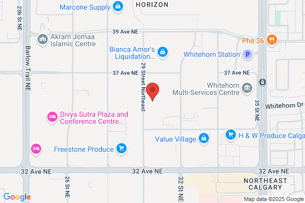 Calmedi & Surgical Supplies Inc