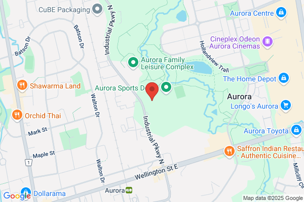 Aurora Limousine Service Ltd