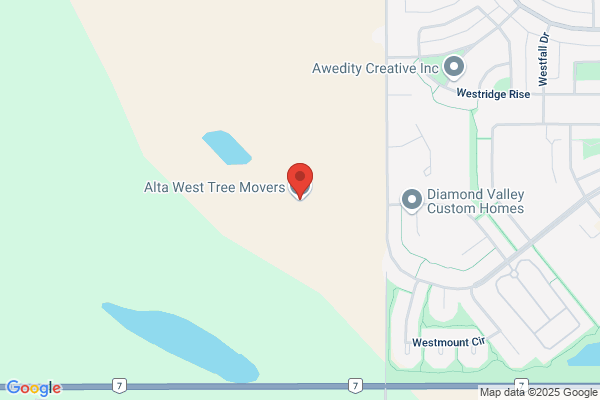 Alta West Tree Movers